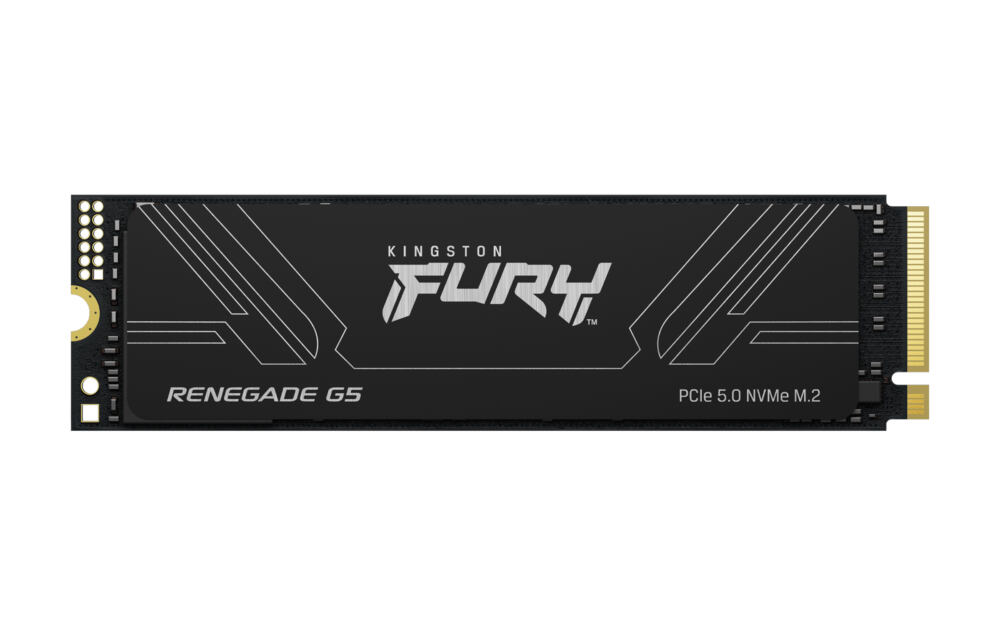 Kingston Technology Kingston FURY Renegade G5 2 TB M.2 PCI Express 5.0 NVMe 3D TLC