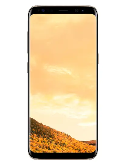 Samsung S8 4 GB S864GBGLDCBLGENBXRAVAT