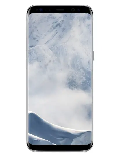 Samsung S8 4 GB S864GBSILCBLGENBXRAVAT