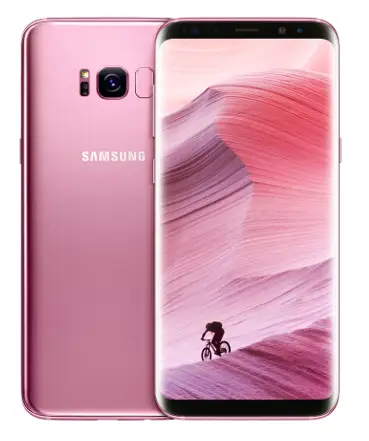 Samsung S8+ 4 GB GGR1SA8PLPBCU