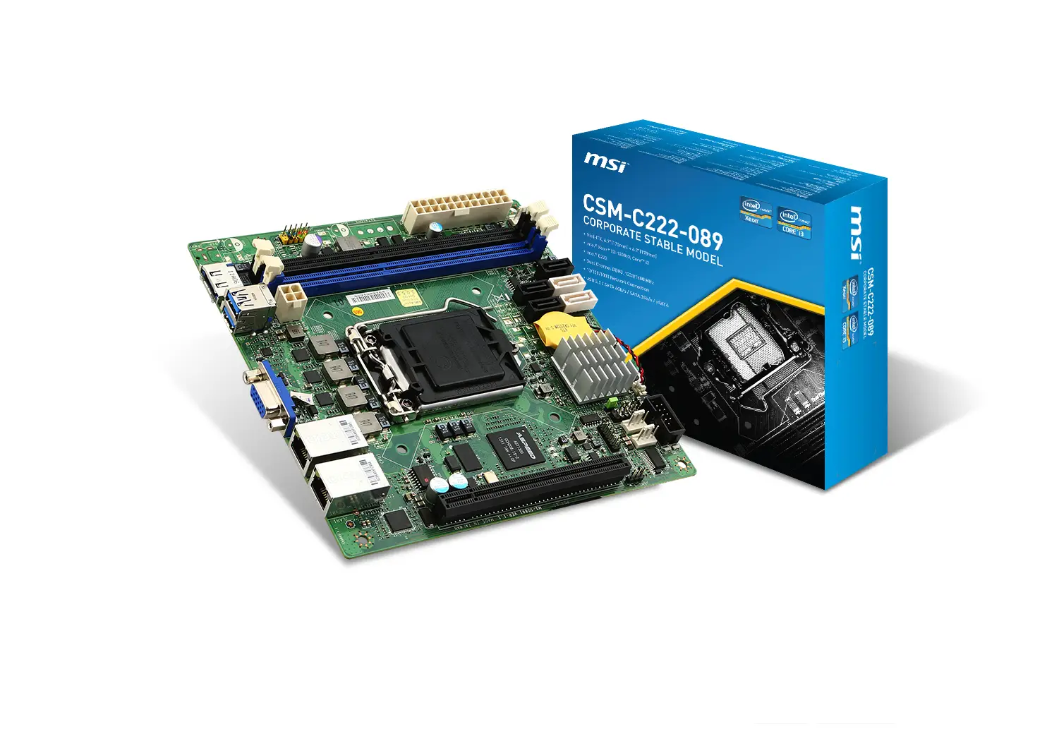 MSI CSM-C222-089 S0891-110R