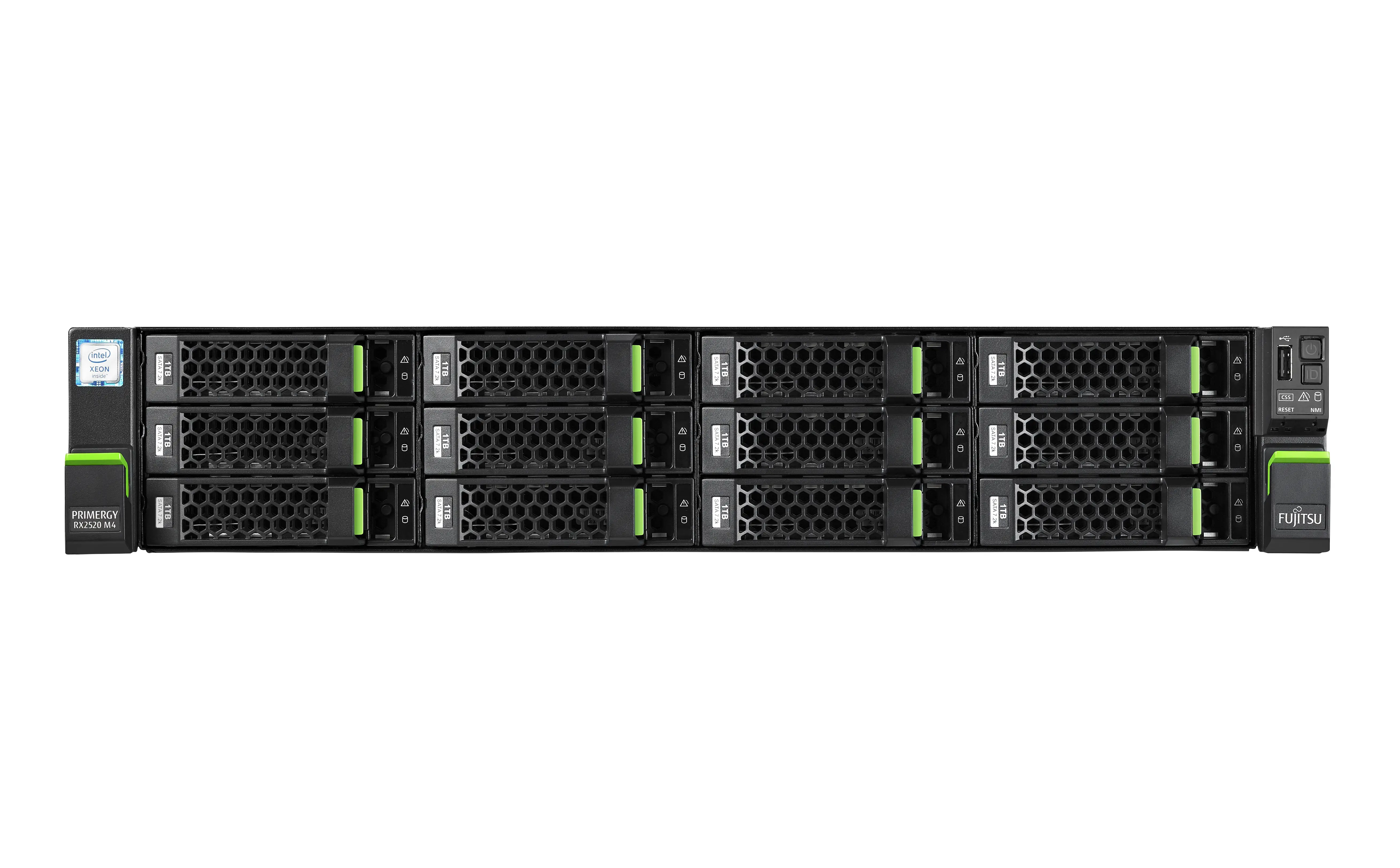 Fujitsu PRIMERGY RX2520 M4 S26361-K1599-V304