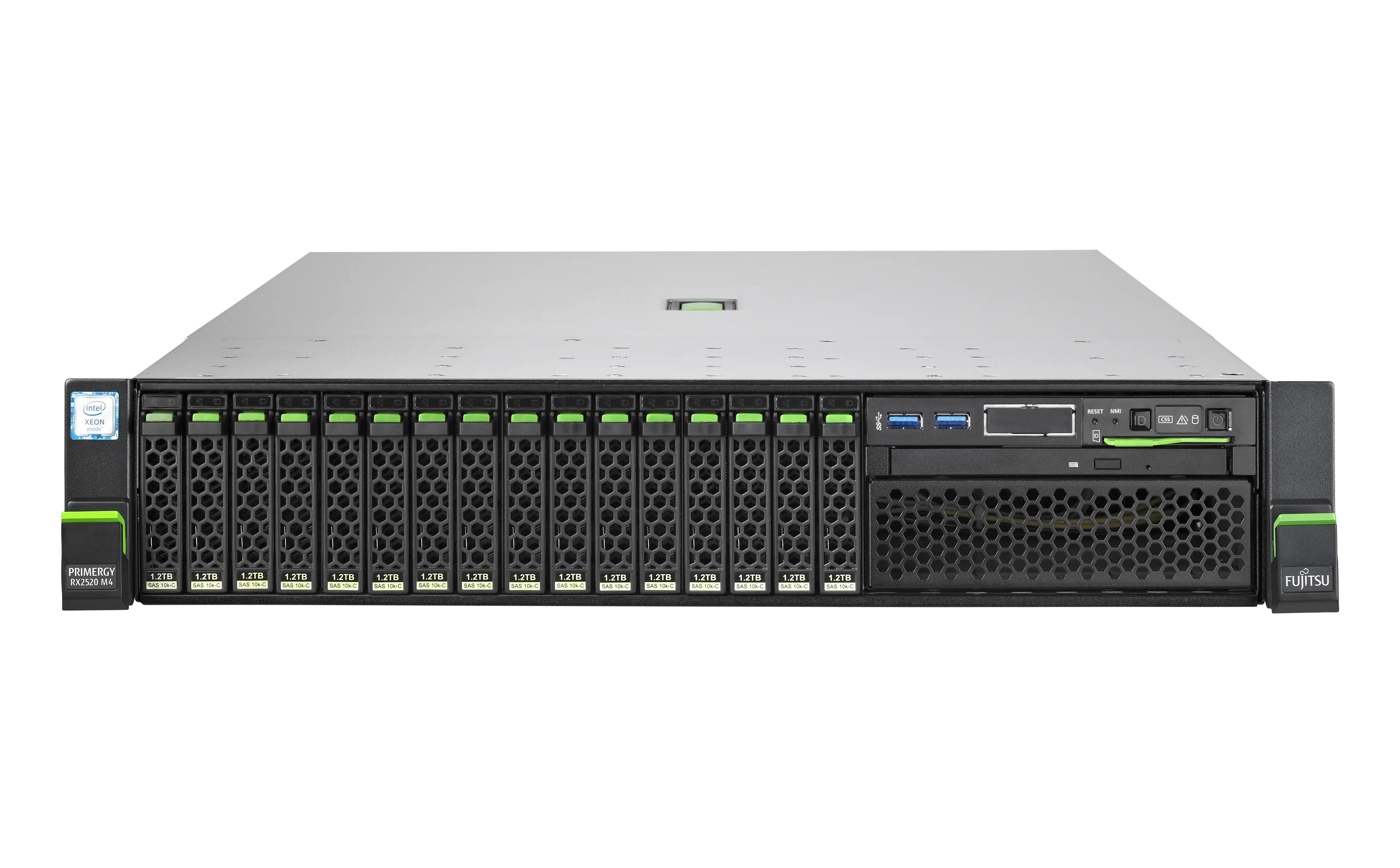 Fujitsu PRIMERGY RX2520 M4 S26361-K1599-V217