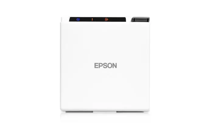 Epson C31CE74001