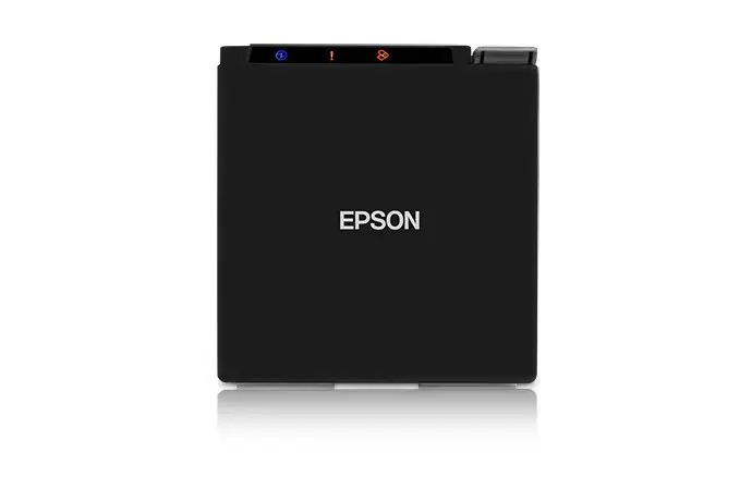 Epson C31CE74002