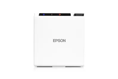 Epson C31CE74011