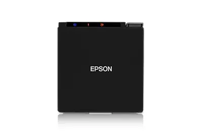 Epson C31CE74022