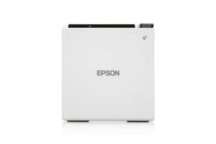 Epson C31CE95021