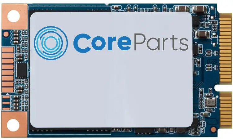 CoreParts CP-SSD-M2-NVME-M-2242-256 256 GB