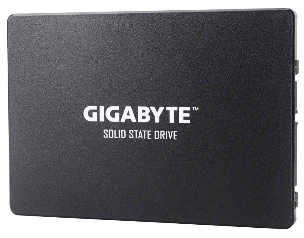 GIGABYTE GP-GSTFS31120GNTD 120 GB