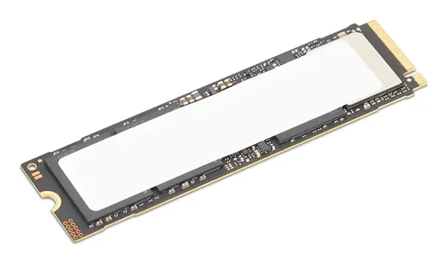 Lenovo 4XB1S30112 1 TB M.2 22x80 Gen5 NVMe SSD Dahili SSD'
