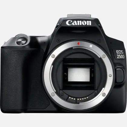 Canon 250D 3454C001