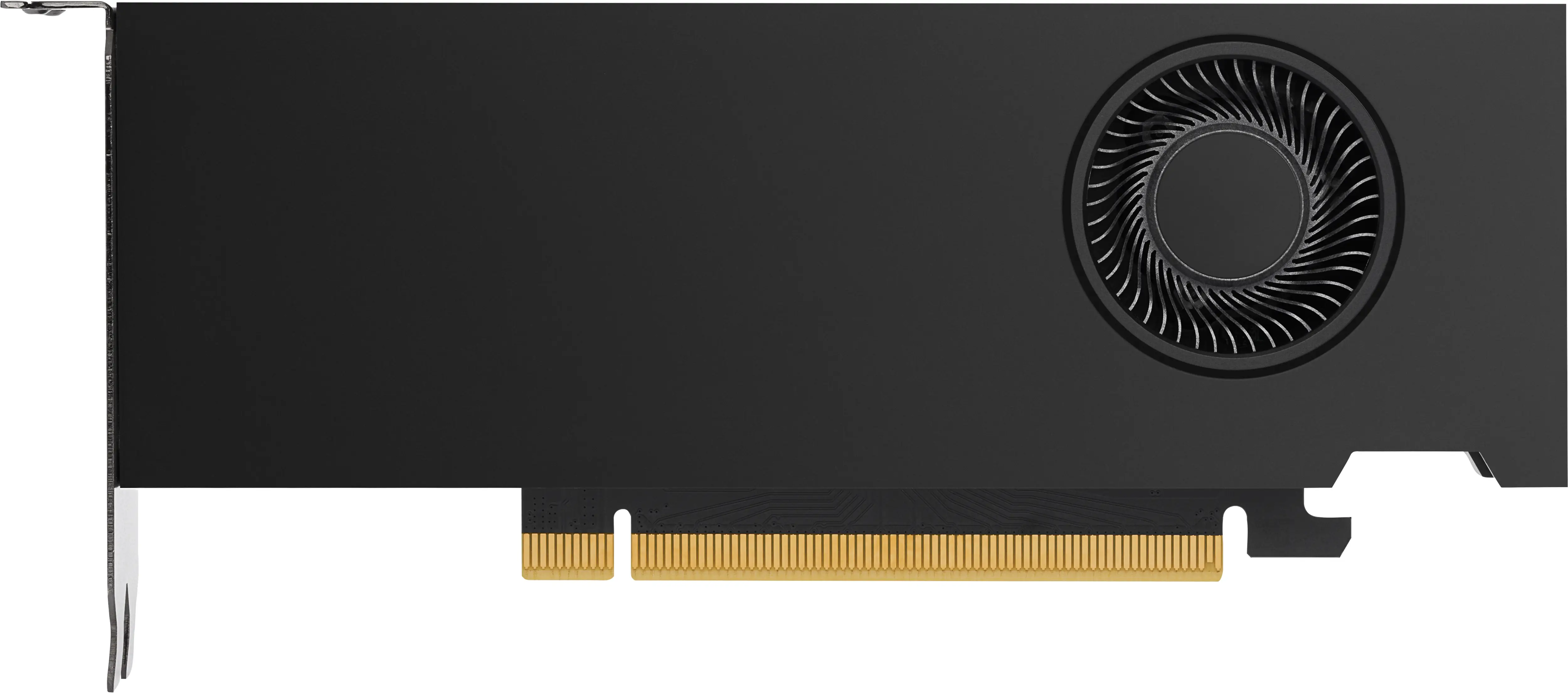 HP NVIDIA RTX A2000 6 GB 340L0AA