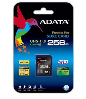 ADATA 256 GB SDXC ASDX256GUI3CL10-R