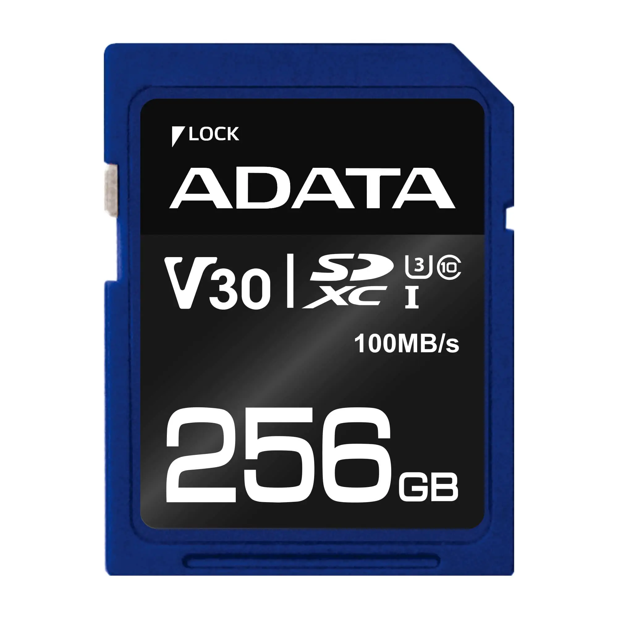 ADATA ASDX256GUI3V30S-R 256 GB