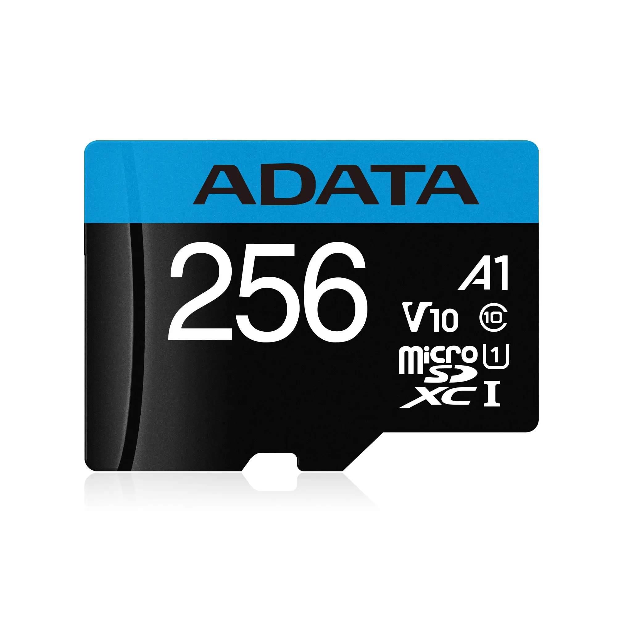 ADATA AUSDX256GUICL10A1-R 256 GB