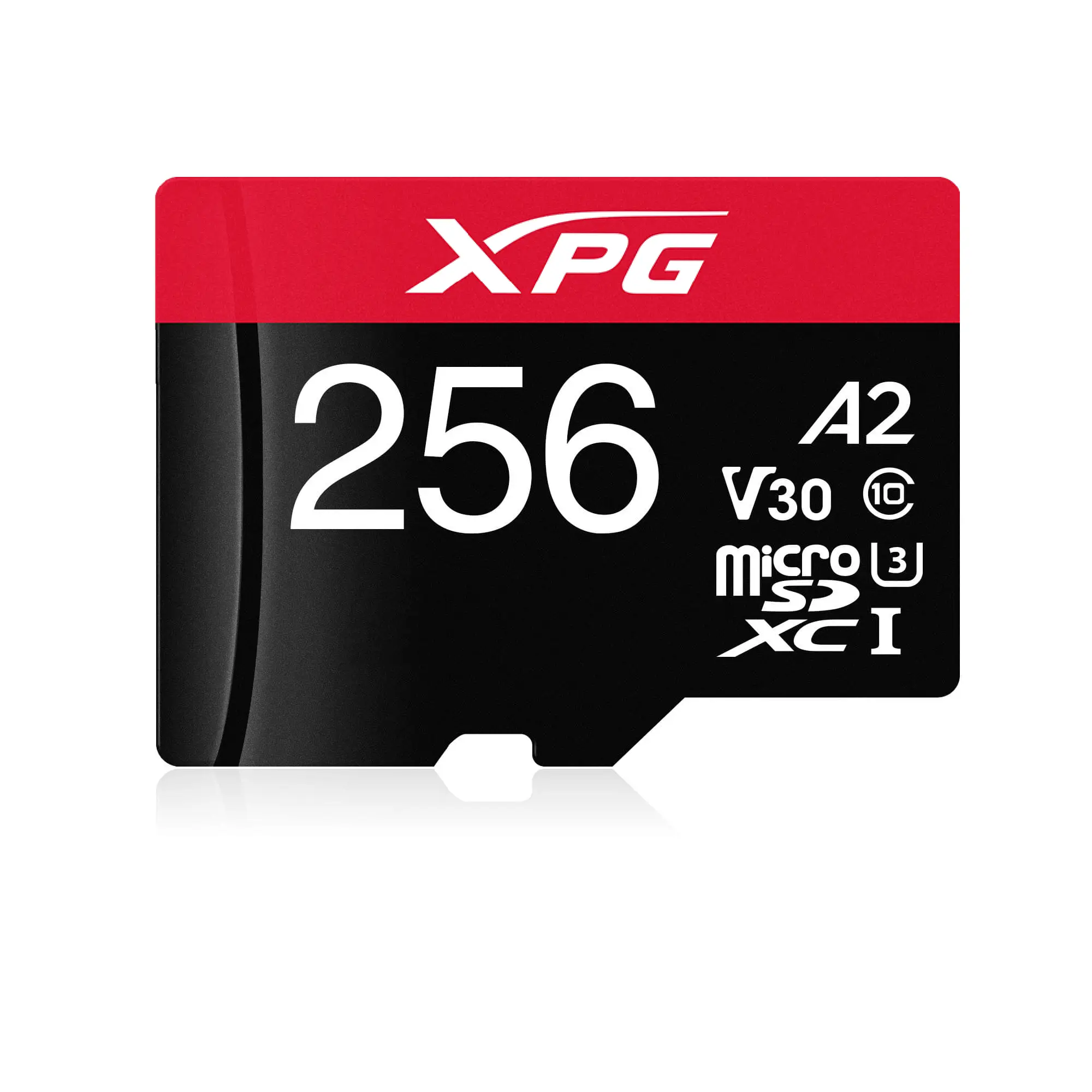 XPG AUSDX256GUI3XPGA2-R 256 GB