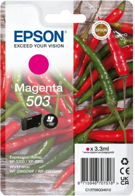 Epson 503 C13T09Q34020