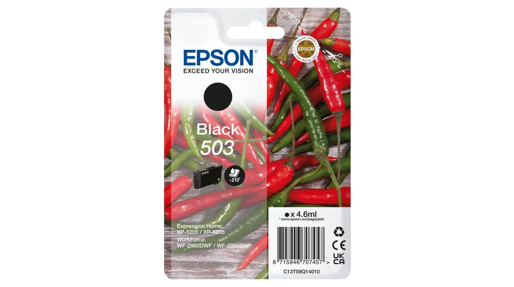 Epson 503 C13T09Q14010