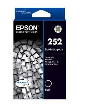Epson C13T252192