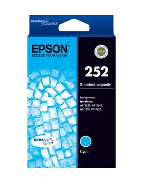 Epson C13T252292