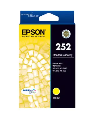 Epson C13T252492