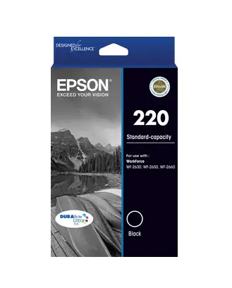 Epson C13T293192