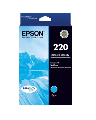 Epson C13T293292