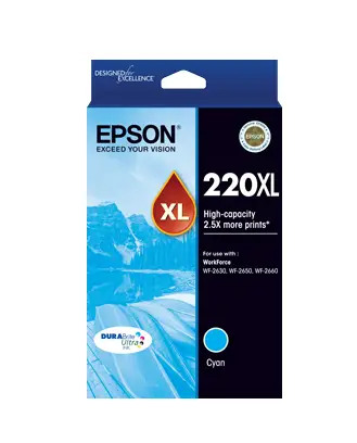 Epson C13T294292