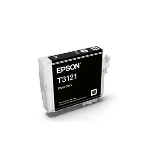 Epson C13T312100