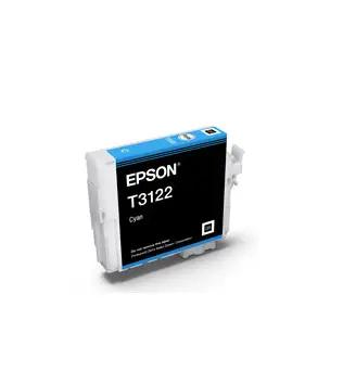Epson C13T312200