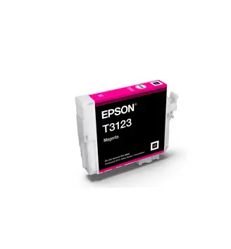 Epson C13T312300