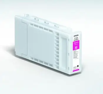 Epson C13T730300