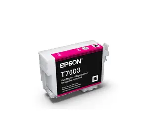 Epson C13T760300