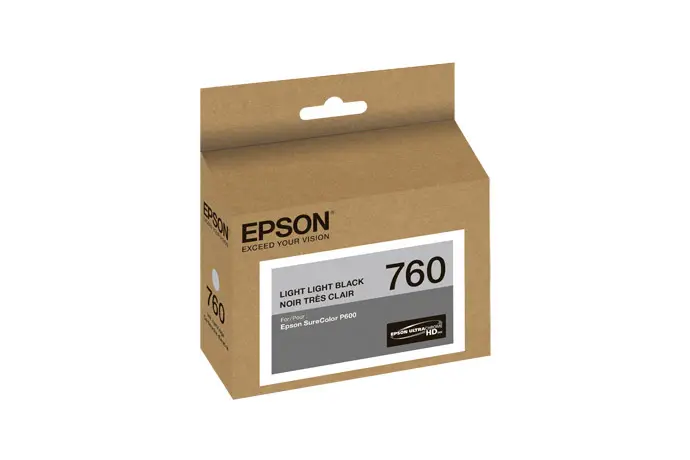 Epson C13T760920