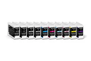 Epson C13T770020