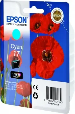 Epson Cartridge 17 C13T17024A10