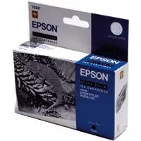 Epson Ink Cart black 540sh f Stylus Photo 2100 C13T034140