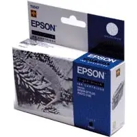 Epson Ink Cart light black 450sh StylusPho2100 C13T034740