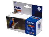 Epson Actieverpakking EPST008401 C13T008401G5