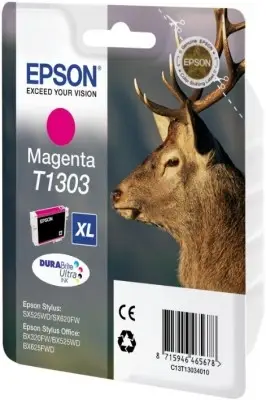 Epson C13T13034030