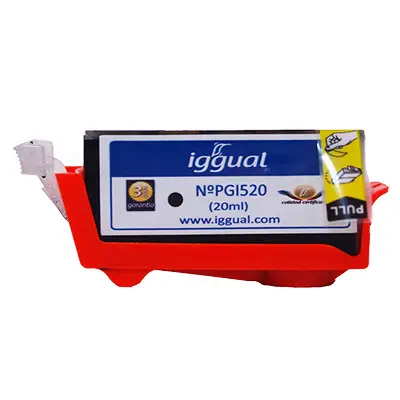 iggual PSIPGI520