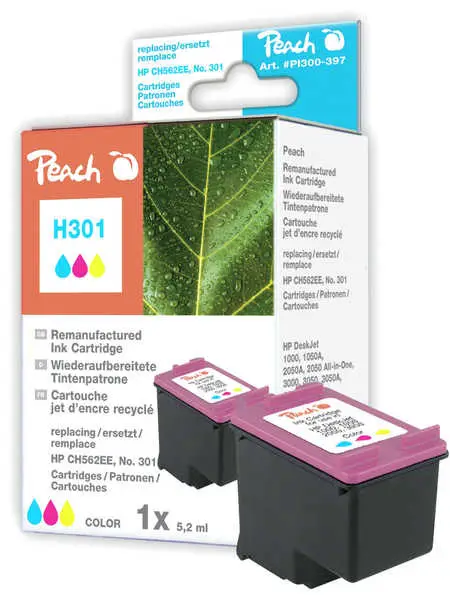 Peach 316239