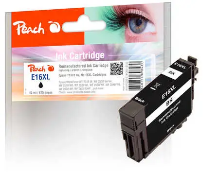 Peach 318105