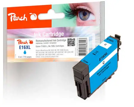 Peach 318106