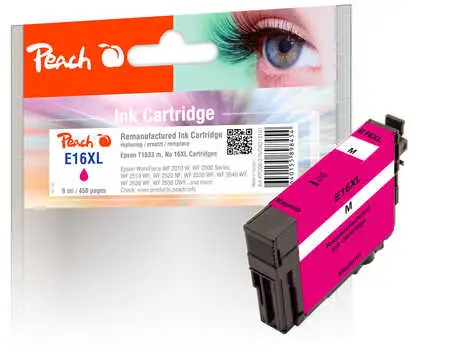 Peach 318107
