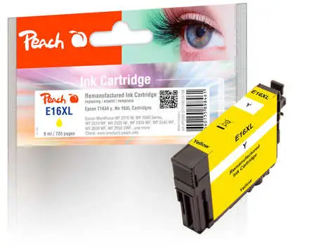 Peach 318108