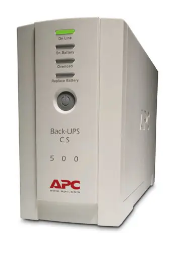 APC Back-UPS 300 W BK500EI