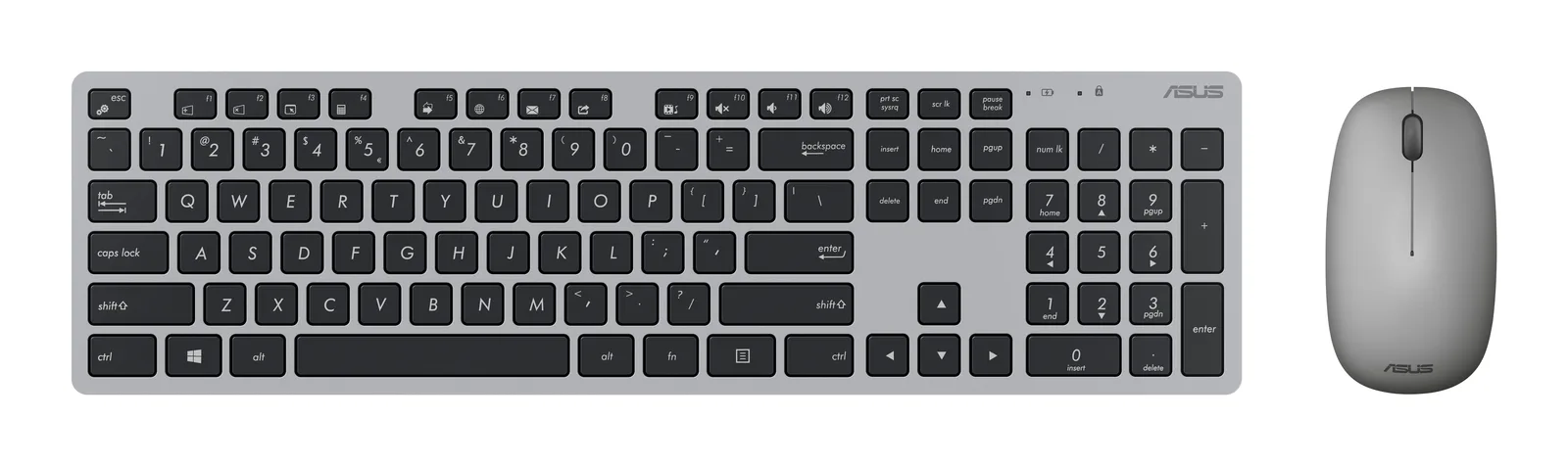 ASUS W5000 90XB0430-BKM1S0