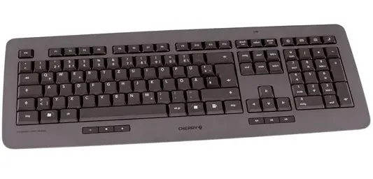 CHERRY DW 5000 JD-0500DE
